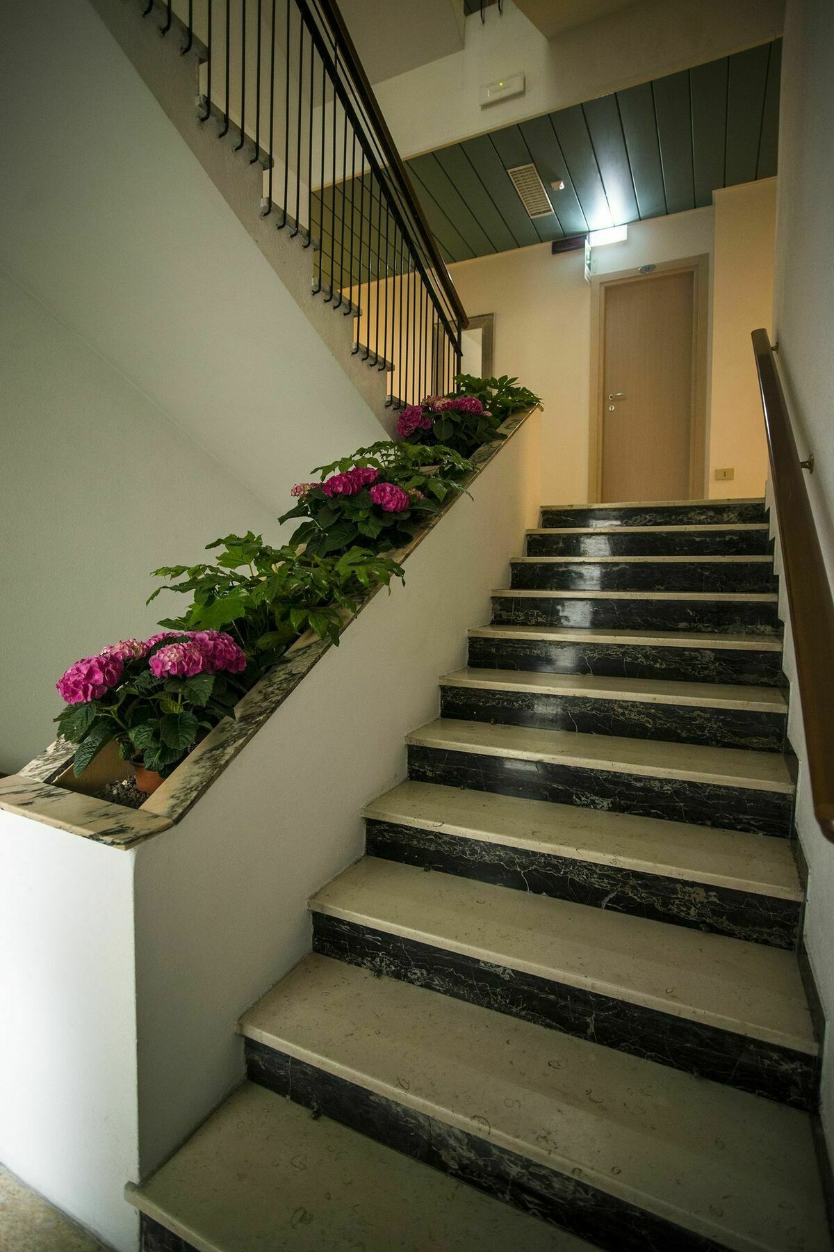 Hotel 21 Riccione Exterior foto